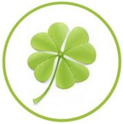 Trifolium Translate