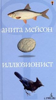 Иллюзионист