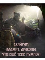 Скайрим, каджит, драконы. Что ещё тебе нужно?!