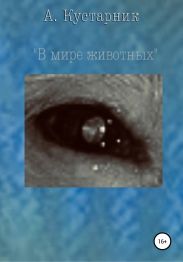 В мире животных