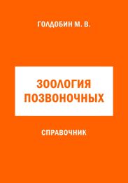 Зоология позвоночных. Справочник