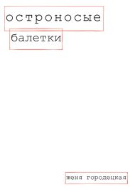 Остроносые балетки