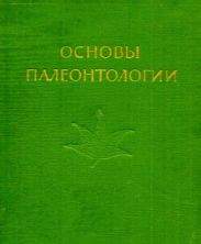 Голосеменные и покрытосеменные