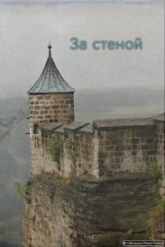 За стеной