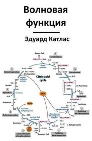 Волновая функция