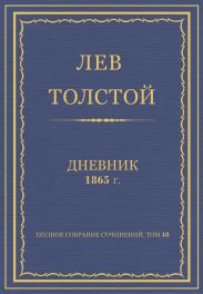 Дневник, 1865 г.