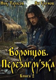 Воронцов. Перезагрузка. Книга 2