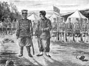 Серый герой