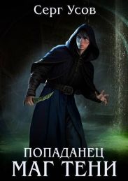Попаданец. Маг Тени. Книга 11