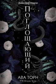 Поглощающий