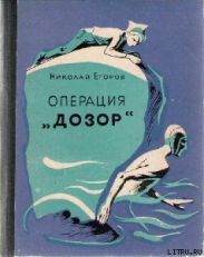 Операция «Дозор»