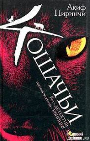 Кошачьи