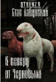 К северу от Чернобыля