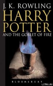 Гарри Поттер и Кубок Огня(Potter's Army)