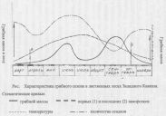 О росте и сборах грибов на Кубани