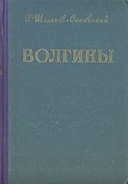 Волгины
