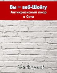 Вы - веб-Шойгу. Антикризисный пиар в Сети