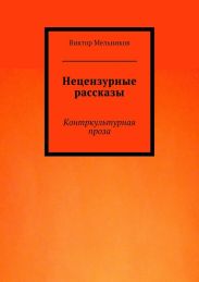 Нецензурные рассказы. Контркультурная проза