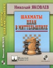 Шахматы. План в миттельшпиле