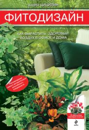 Фитодизайн. Как вырастить здоровый воздух в офисе и дома