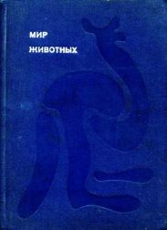 Утконос
