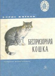 Беспризорная кошка (худ. Н. Афанасьева)