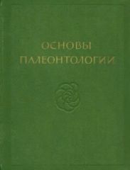 Простейшие