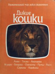 Дикие кошки