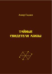 Тайные свидетели Азизы. Книга 1