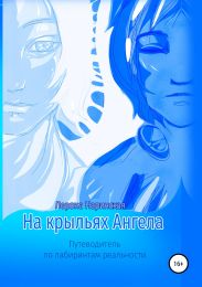 На крыльях Ангела. Путеводитель по лабиринтам реальности