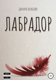 Лабрадор
