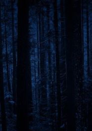Nacht