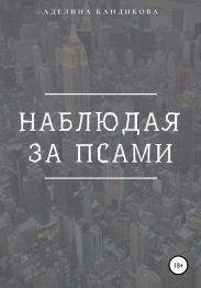 Наблюдая за псами