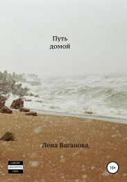 Путь домой