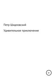 Удивительное приключение