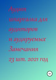 Аудит шпаргалка для аудиторов и аудируемых. Замечания 23 шт. за 2021 год